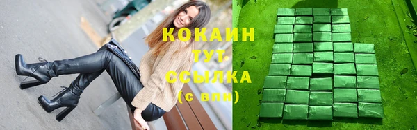 шишки Горнозаводск