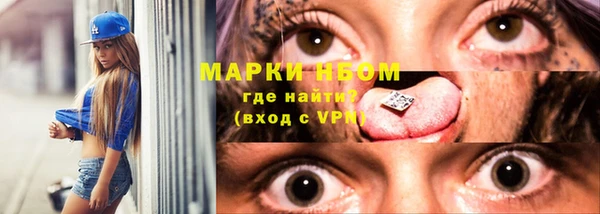 шишки Горнозаводск