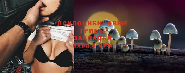 тгк Горно-Алтайск