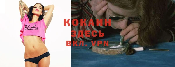 шишки Горнозаводск