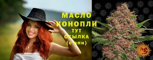 тгк Горно-Алтайск