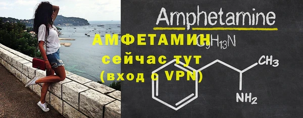 шишки Горнозаводск