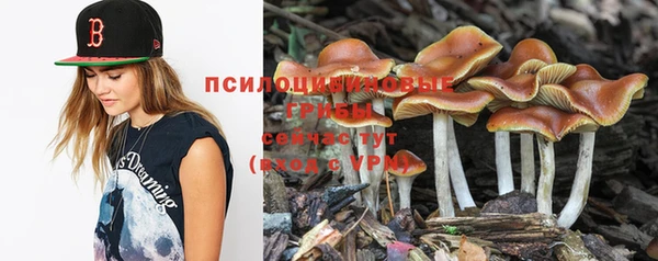 шишки Горнозаводск